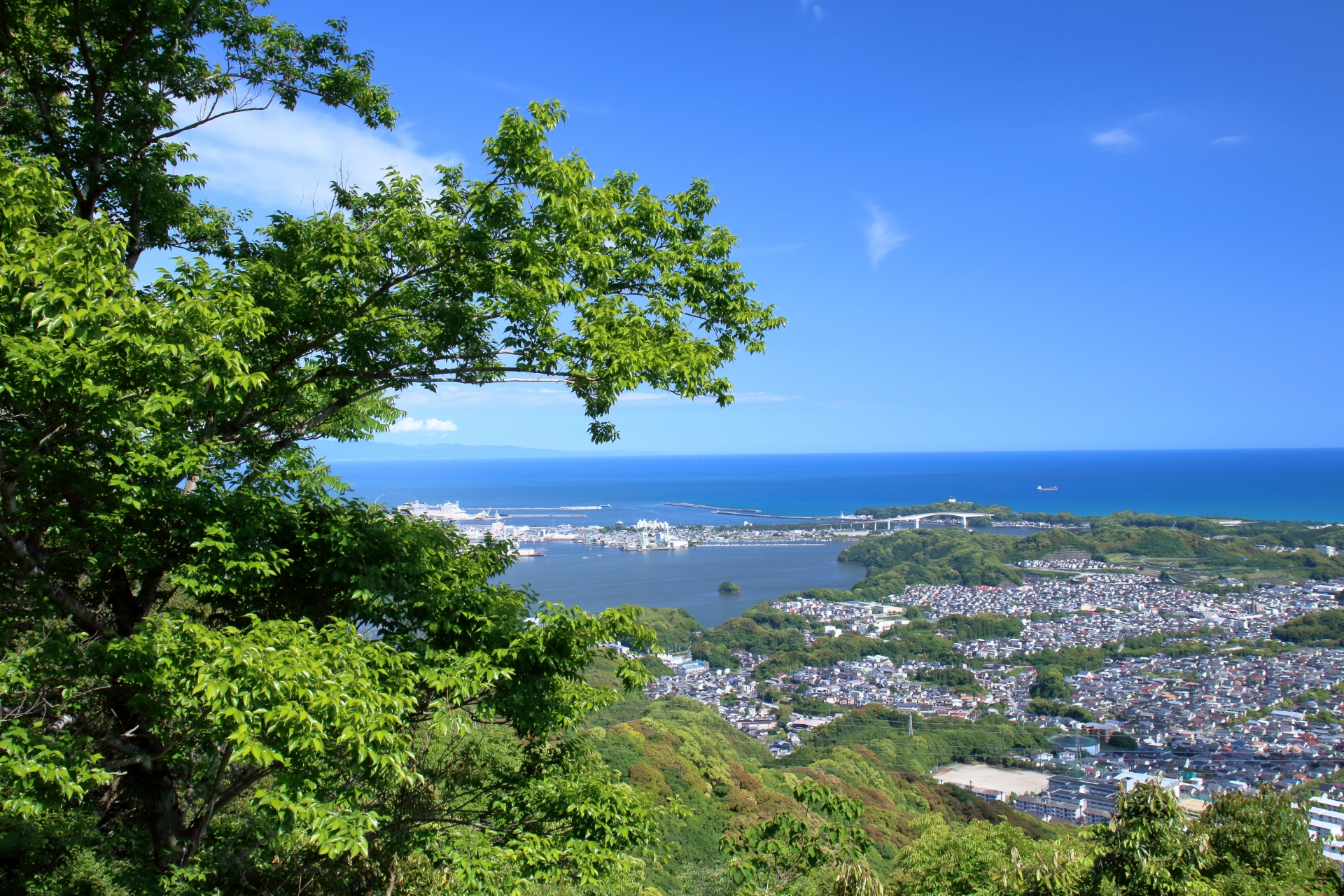 香美市物部町久保安野尾のメイン画像