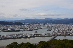 高岡郡津野町杉ノ川の土地と生活おすすめ情報