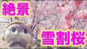 須崎市吾井郷乙のご紹介