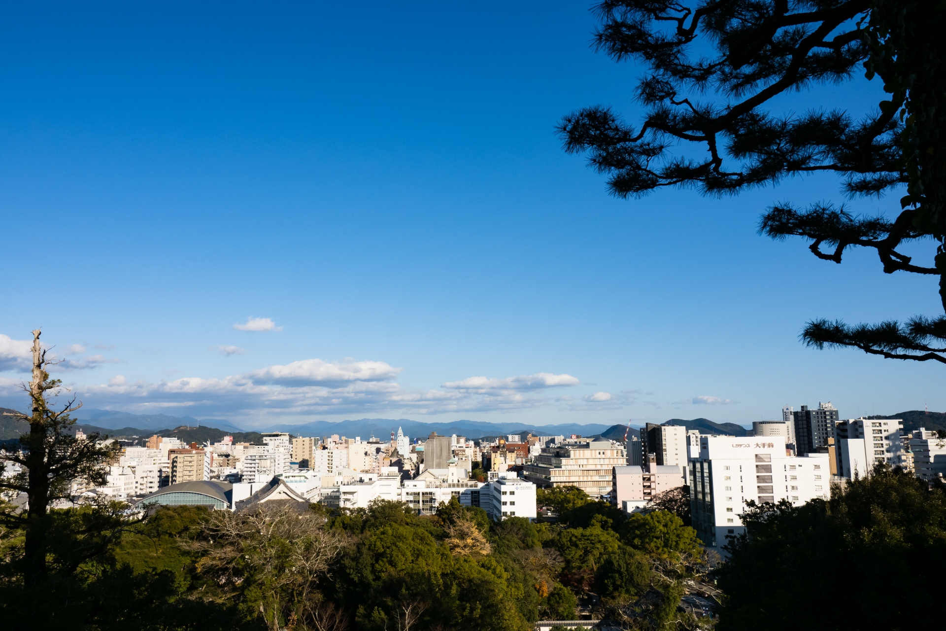 香美市物部町久保上久保のメイン画像